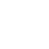 FX